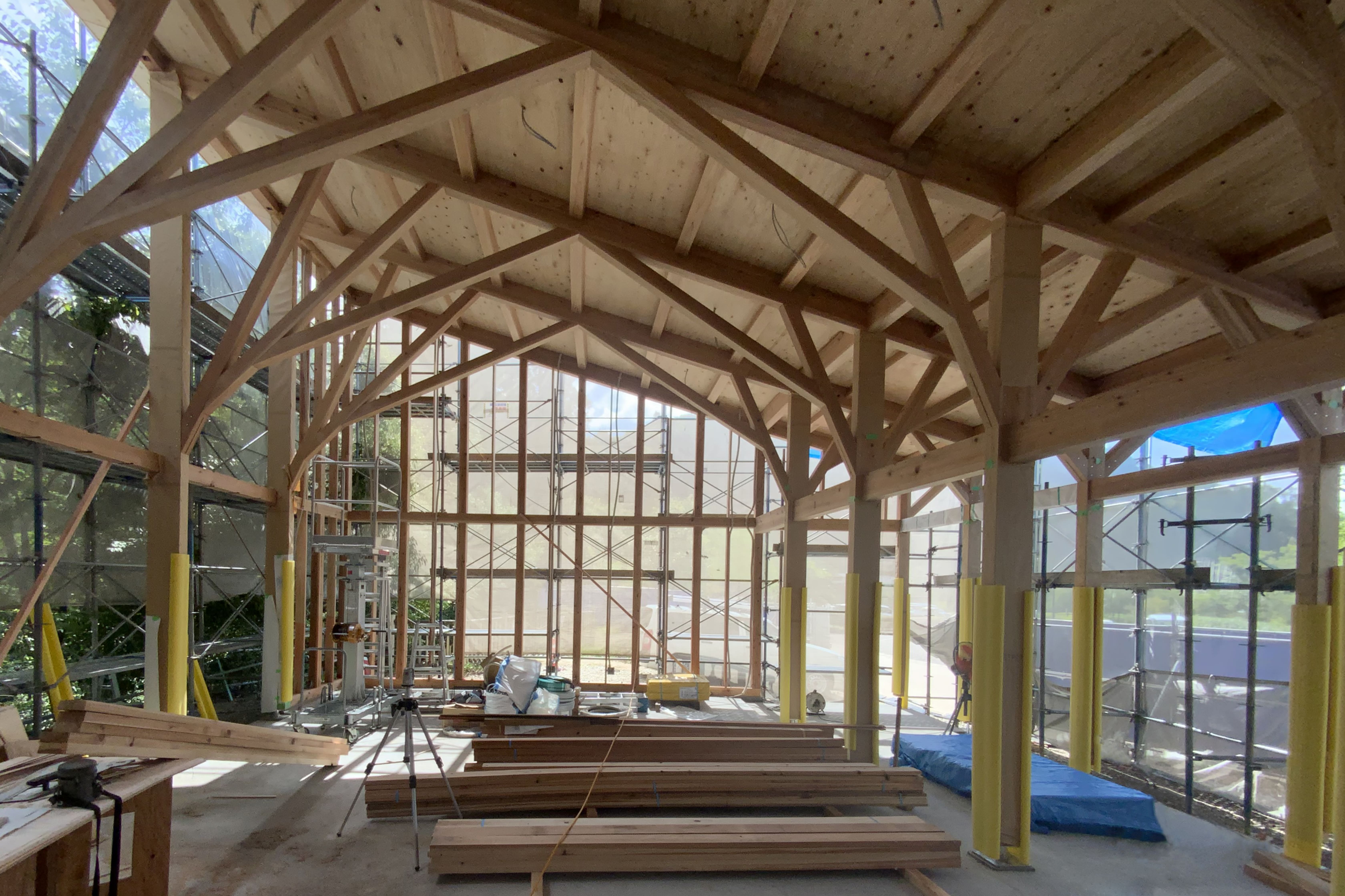 並⽊の樹形をイメージした⽊の架構